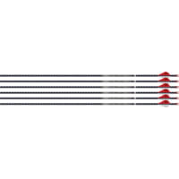 EASTON ARROW 4MM FMJ 400 6-PACK W/ 2\" BLAZER VANES