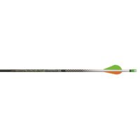 Easton Axis Arrows