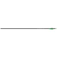 Easton Genesis V2 Arrows