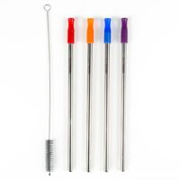 Eco Vessel The Insulated Sippy Stainless Steel