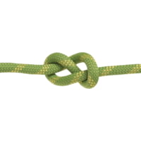Edelweiss Toplight Ii 1Dynamic Ropes