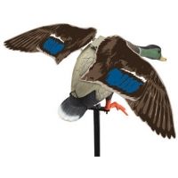 Edge Expedite Rapid Flyer Lucky Duck 714102