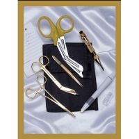 EMI Rescue Gold Holster Set
