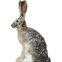 Extreme Dimension Wildlife Calls Phantom HD Decoy - Jack Rabbit