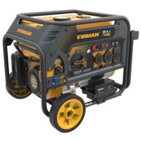 Firman Power and Equipment 4550/3650 Watt Dual Fuel Electric Start Generator, cETL, CARB