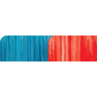 First String Genesis String and Cable Set 1503080