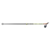 Fischer BCX Variolite Ski Poles