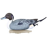Flambeau Classic Pintail Decoy