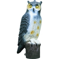 Flambeau Great Horned Owl