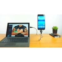 Fuse Chicken Bobine Flex USB-C Cable
