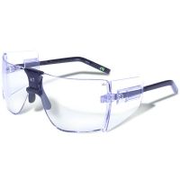 Gargoyles Classic Sunglasses