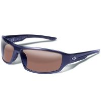 Gargoyles Prevail Sunglasses