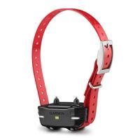 Garmin PT 10 Dog Device - Electronic Collar