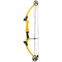 Genesis Archery Original Bow
