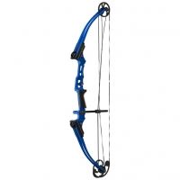 Genesis Mini Bow