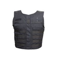 GH Armor Systems Gh Armor - Tactical Apb Carrier