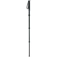 Gitzo Series 2 Basalt Monopod - 4 Section G-lock