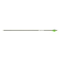 Gold Tip Warrior Arrows