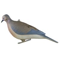 Greenhead Gear Mourning Doves