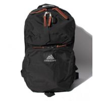 Gregory Any Day Backpack