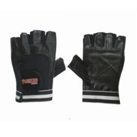 Grizzly Fitness Paw Training Gloves