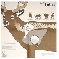 Hoppe's 9 Big Buck Target CT6