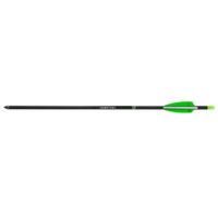 Horton Archery Omni Brite 2.0 Lighted Carbon 20 in Arrows