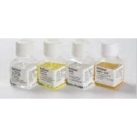 HyClone Non-Essential Amino Acids, Thermo Scientific SH30238.01