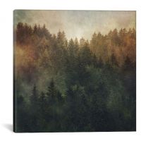 iCanvas Asleep by Tordis Kayma Canvas Print