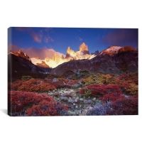 iCanvas Autumn Foliage, Monte Fitz Roy, Parque Nacional los Glaciares, Patagonia, Argentina by Gareth McCormack Canvas Print