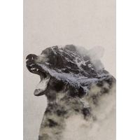 iCanvas Bear In The Fog by Andreas Lie - Canvas Print