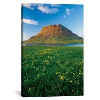 iCanvas Buttercup Meadow II, Kirkjufell, Grundarfjordur, Snaefellsnes Peninsula, Vesturland, Iceland by Gareth McCormack Canvas Print