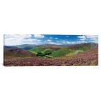 iCanvas Cloghoge Valley II, Wicklow Mountains, County Wicklow, Leinster Province, Republic Of Ireland by Gareth McCormack Canvas Print