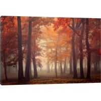 iCanvas Feel Canvas Print