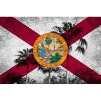iCanvas Florida Flag, Grudge Palm Trees Canvas Print