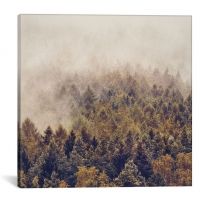 iCanvas If You Had Stayed by Tordis Kayma Canvas Print