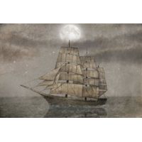 iCanvas Night Journey by Terry Fan Canvas Print