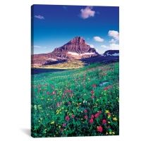 iCanvas Reynolds Mountain, Lewis Range, Rocky Mountains, Glacier National Park, Montana, USA by Gareth McCormack Canvas Print