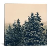iCanvas Strange Days by Tordis Kayma Canvas Print