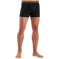 Icebreaker Merino 150 Anatomica Boxers w/ Fly - Men's
