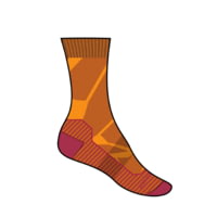 Icebreaker Hike+ Medium Crew Fractured Landscapes Socks - Women's