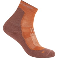 Icebreaker Merino Hike+ Light Mini Socks - Men's