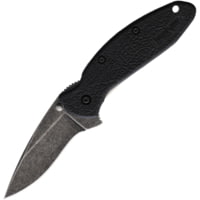 Kershaw Scallion Linerlock A/O 2.50 in Stainless Steel Assisted Opening Folding Knife