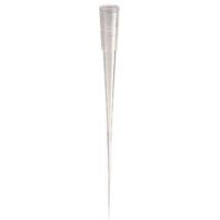 Labcon Gel-Loading Tips 1034-960-306 3 Cm (13/16") Capillary Length, Pack of 576