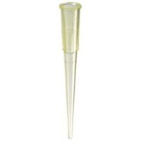 Labcon and Signature Non-Bevel Pipet Tips 1031-800-010 Vwr Tips, Pack of 1000