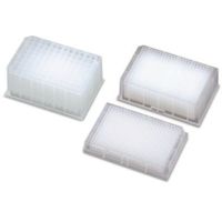 Labnet Plate, 384 X 300 µl/square Well, Polypropylene, Sterile, Pack Of 48 P9641