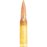 Lapua .308 Winchester 170 Grain Lock Base Brass Cased Rifle Ammunition