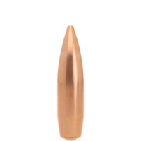 Lapua 338 Caliber Rifle Bullets, 250 Grain, FMJBT