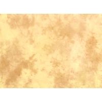 Lastolite Camera Lighting Equipment 5'x6' Collapsible Reversible Background - Colorado / Arizona LL LB56CA