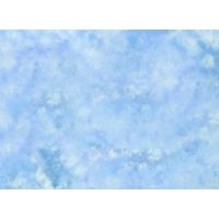 Lastolite 5'x6' Collapsible Reversible Background - Florida/maine LL LB56FM